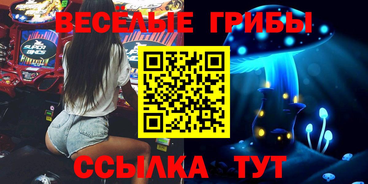 купить наркотик  Вход с VPN  Донской  Галлюциногенные грибы Psilocybe  Псилоцибиновые грибы Magic Shrooms 